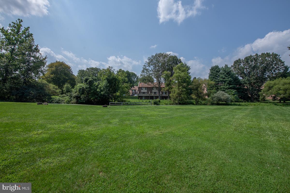1326 Heyward Road Chesterbrook, PA 19087 - Photo 40 of 46 View in the back of the home