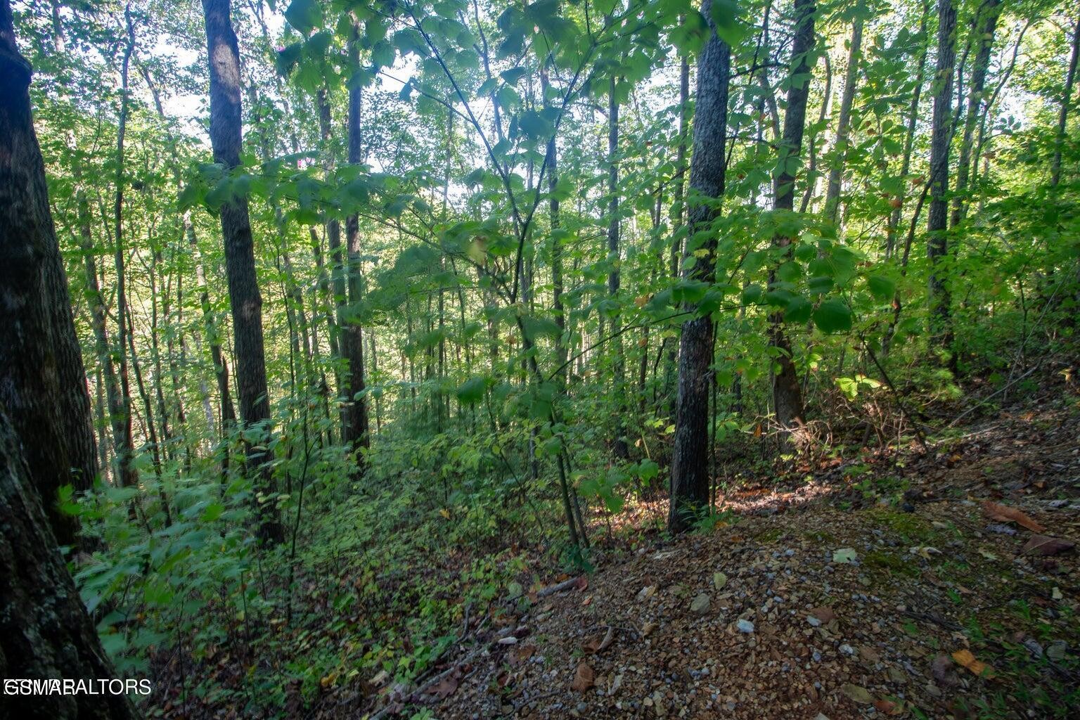9 Wildcat Ridge Road Sevierville, TN 37862 - Photo 8 of 14 Gallery Image 8