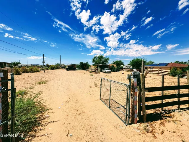 a view of a terrace with trees