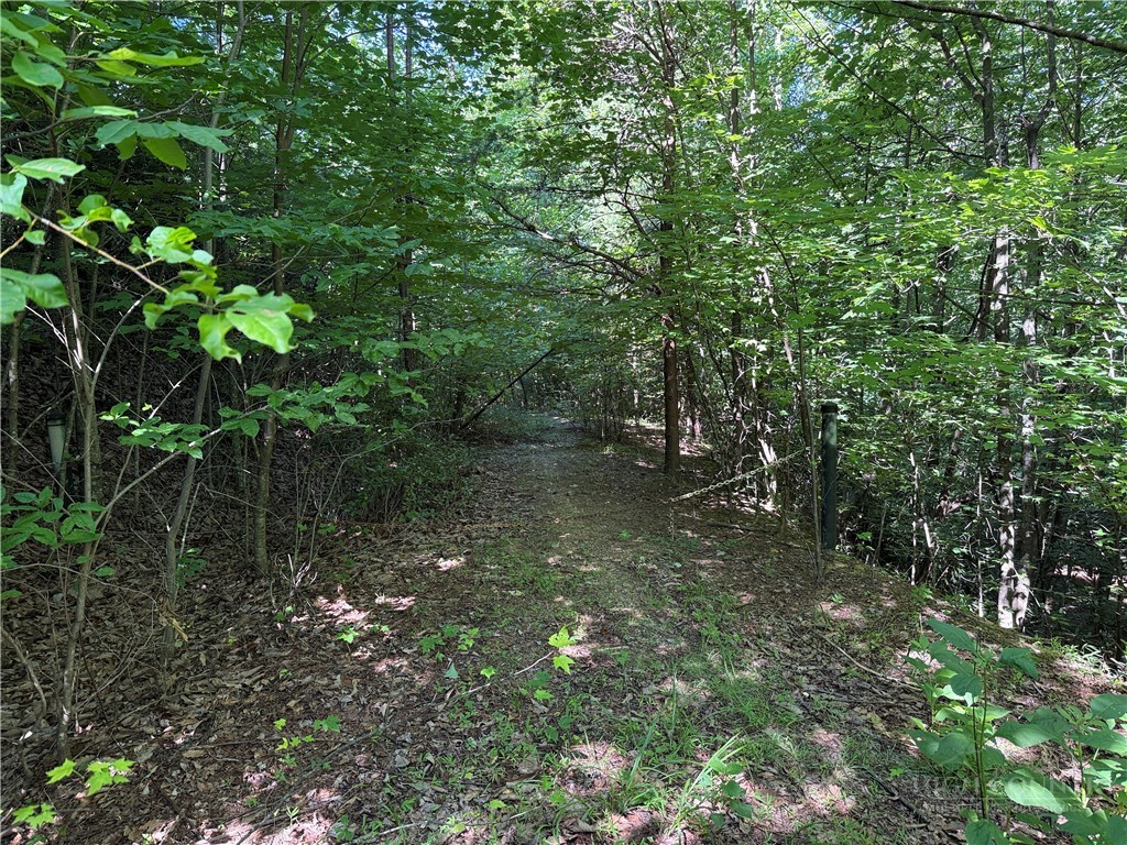 Lot 222 Casey Mountain Road Purlear, NC 28665 - Photo 2 of 34