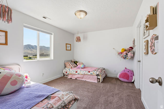 1208 Coachline Way Eagle Mountain, UT 84005 - Photo 25 of 48