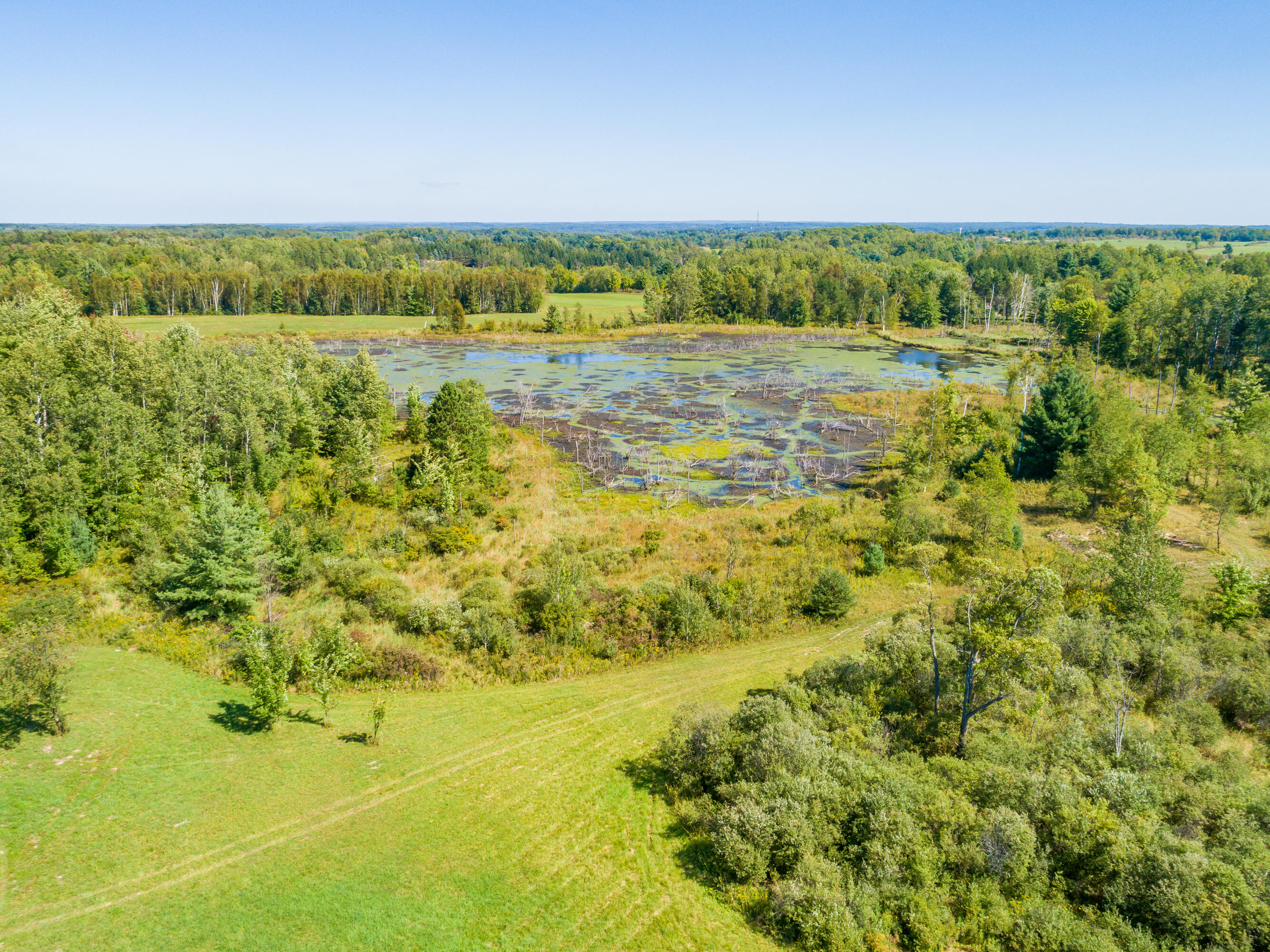 11760 East 72nd Street Reed City, MI 49677 - Photo 41 of 44 DJI_0028