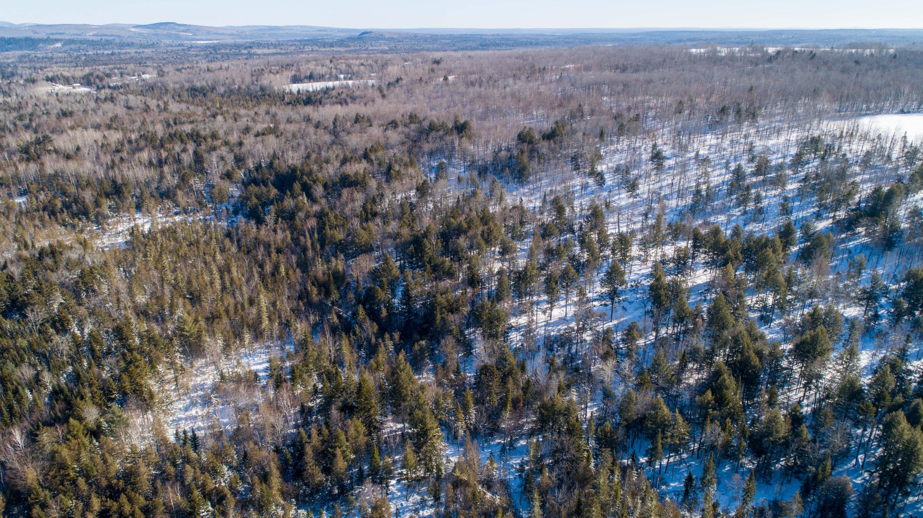 2 R 159/ Belvedere Road Crystal, ME 04747 - Photo 28 of 44 3900 +_- Acre Kingdom Parcel(28)