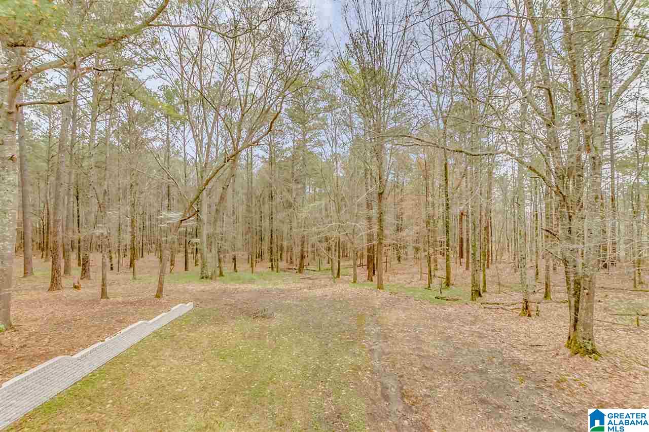 6150 Chelsea Road Columbiana, AL 35051 - Photo 36 of 50