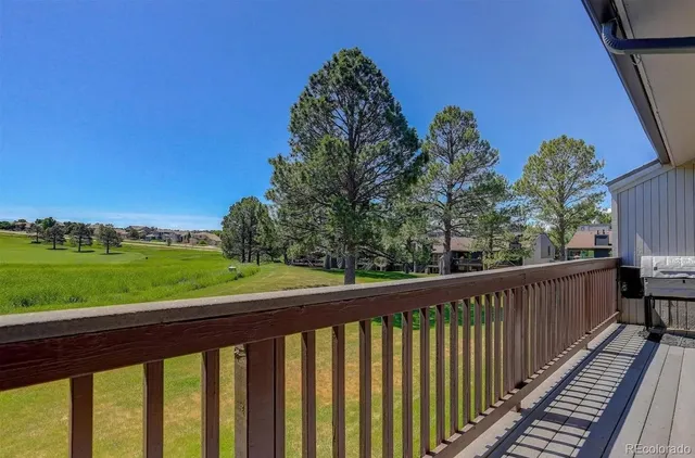a view of a lush green space