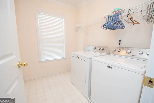 a bedroom with bed plant and a window