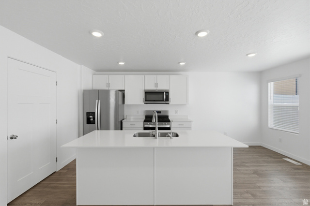 3788 South Galatia Road Magna, UT 84044 - Photo 5 of 24 Modern kitchen featuring a large center island with an undermount sink, stainless steel appliances, white cabinetry, recessed lighting, and wood-finish flooring