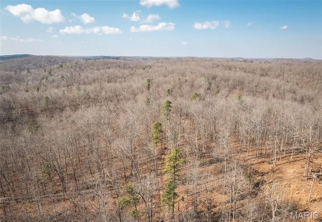 $384,000 | 0 County Road 352, Piedmont, MO 63957