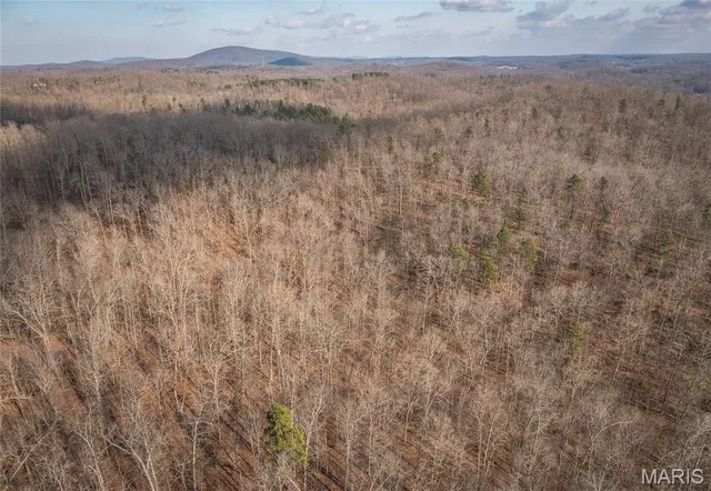 $384,000 | 0 County Road 352, Piedmont, MO 63957