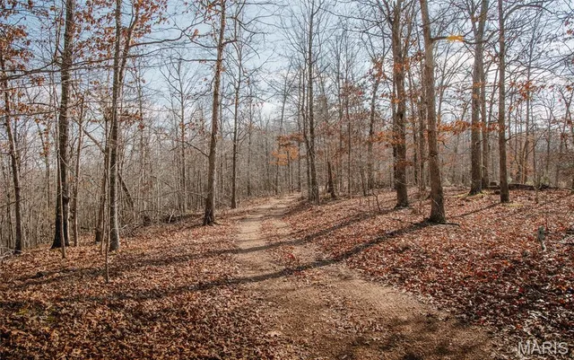 $384,000 | 0 County Road 352, Piedmont, MO 63957
