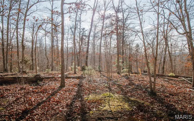 $384,000 | 0 County Road 352, Piedmont, MO 63957