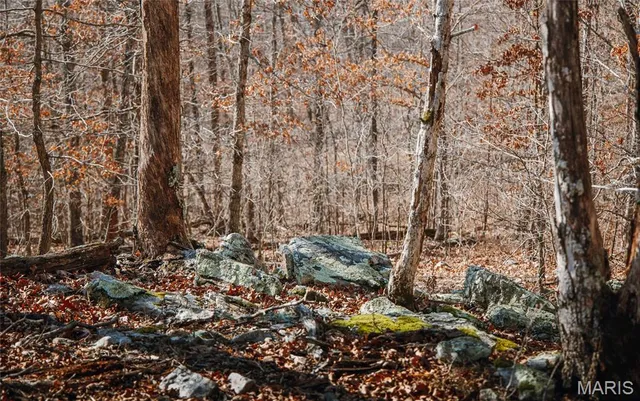 $384,000 | 0 County Road 352, Piedmont, MO 63957