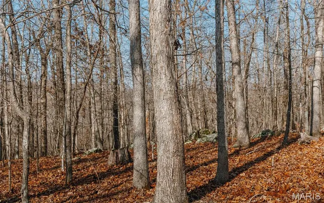 $384,000 | 0 County Road 352, Piedmont, MO 63957