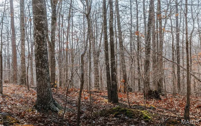 $384,000 | 0 County Road 352, Piedmont, MO 63957