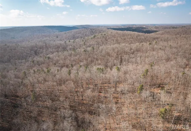 $384,000 | 0 County Road 352, Piedmont, MO 63957