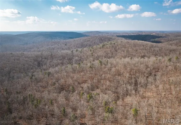 $384,000 | 0 County Road 352, Piedmont, MO 63957