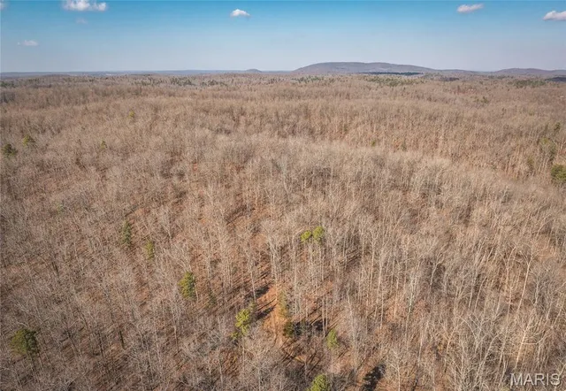 $384,000 | 0 County Road 352, Piedmont, MO 63957