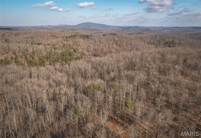 $384,000 | 0 County Road 352, Piedmont, MO 63957