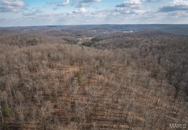 $384,000 | 0 County Road 352, Piedmont, MO 63957