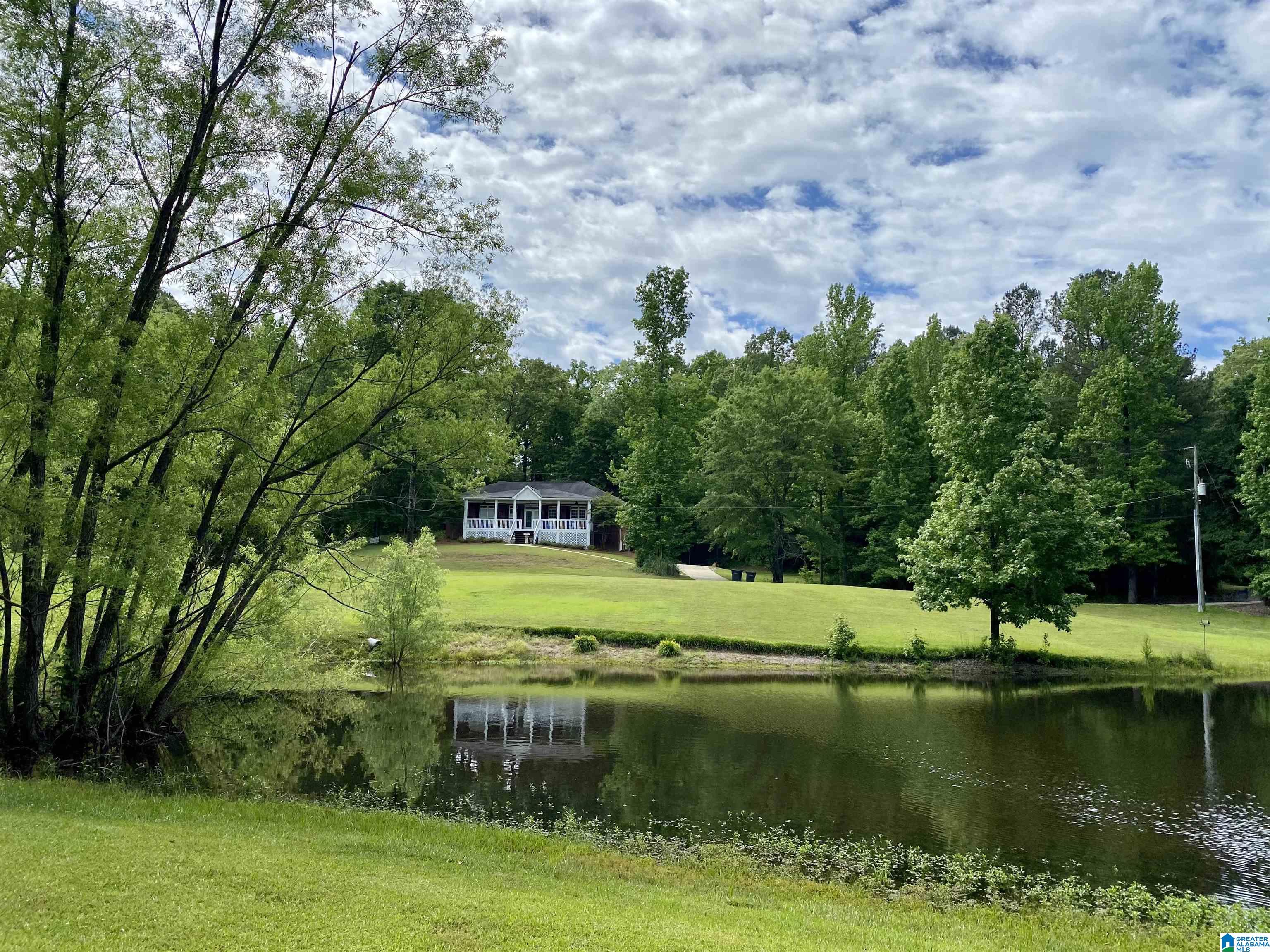 150 Ridgeway Lane Helena, AL 35080 - Photo 4 of 41