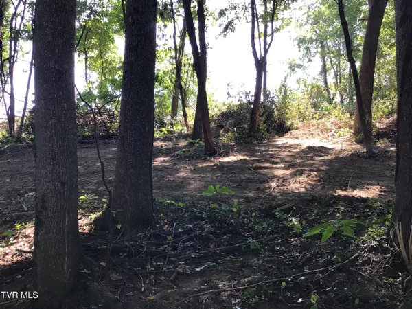 $48,900 | L24 R Maple Crest, Unit 24R, Greeneville, TN 37743