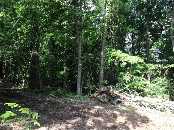 $48,900 | L24 R Maple Crest, Unit 24R, Greeneville, TN 37743