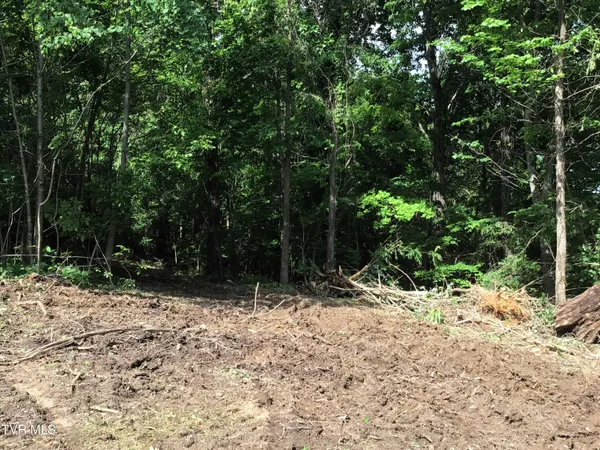 $48,900 | L24 R Maple Crest, Unit 24R, Greeneville, TN 37743