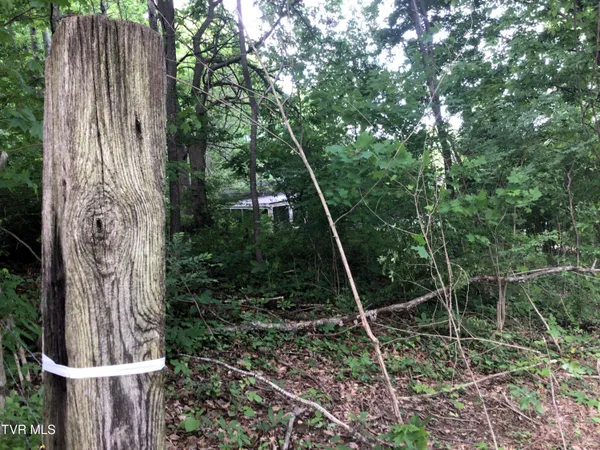 $48,900 | L24 R Maple Crest, Unit 24R, Greeneville, TN 37743