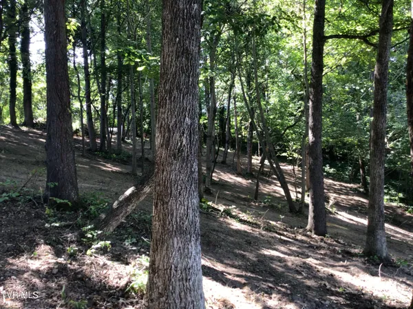 $48,900 | L24 R Maple Crest, Unit 24R, Greeneville, TN 37743