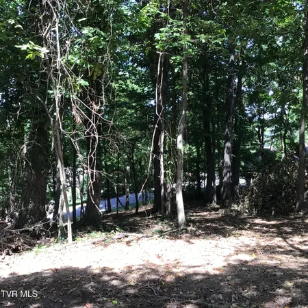 $48,900 | L24 R Maple Crest, Unit 24R, Greeneville, TN 37743
