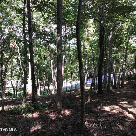 $48,900 | L24 R Maple Crest, Unit 24R, Greeneville, TN 37743