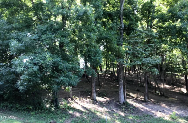$48,900 | L24 R Maple Crest, Unit 24R, Greeneville, TN 37743