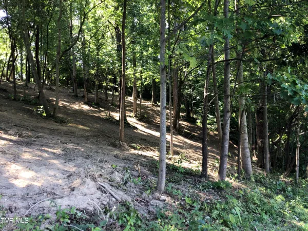 $48,900 | L24 R Maple Crest, Unit 24R, Greeneville, TN 37743