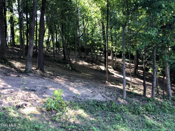 $48,900 | L24 R Maple Crest, Unit 24R, Greeneville, TN 37743