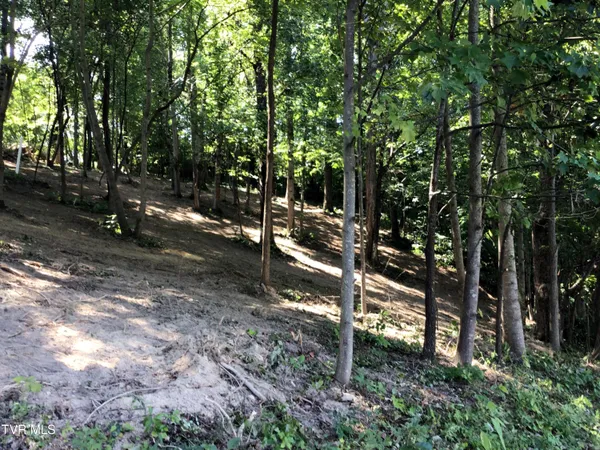 $48,900 | L24 R Maple Crest, Unit 24R, Greeneville, TN 37743