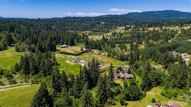 a view of a yard with plants