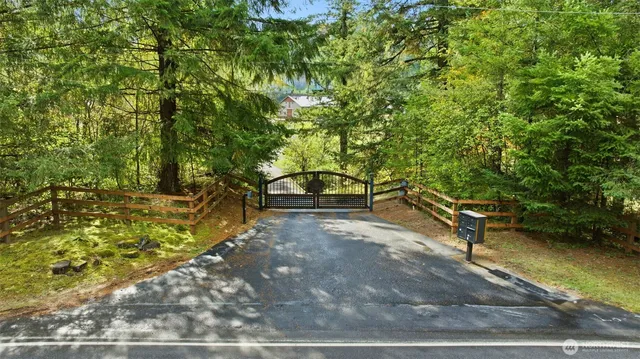 a view of a park with large trees