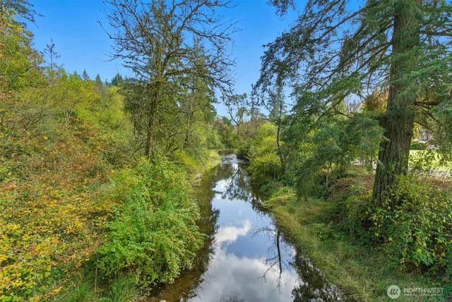 a view of a pathway both side of yard