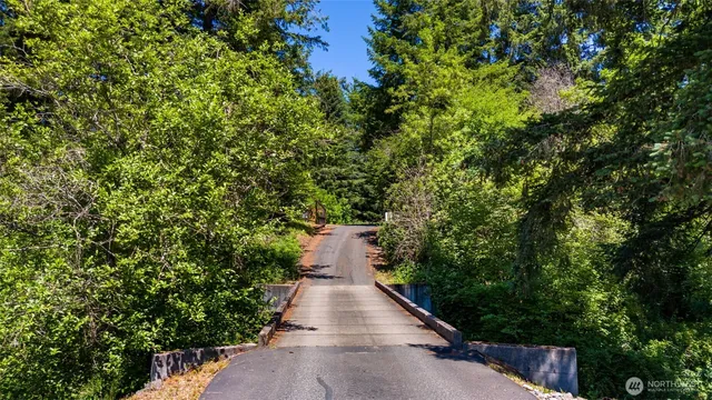 a view of a pathway in a garden