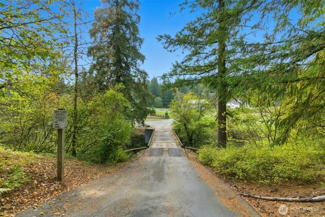 a view of a pathway both side of yard
