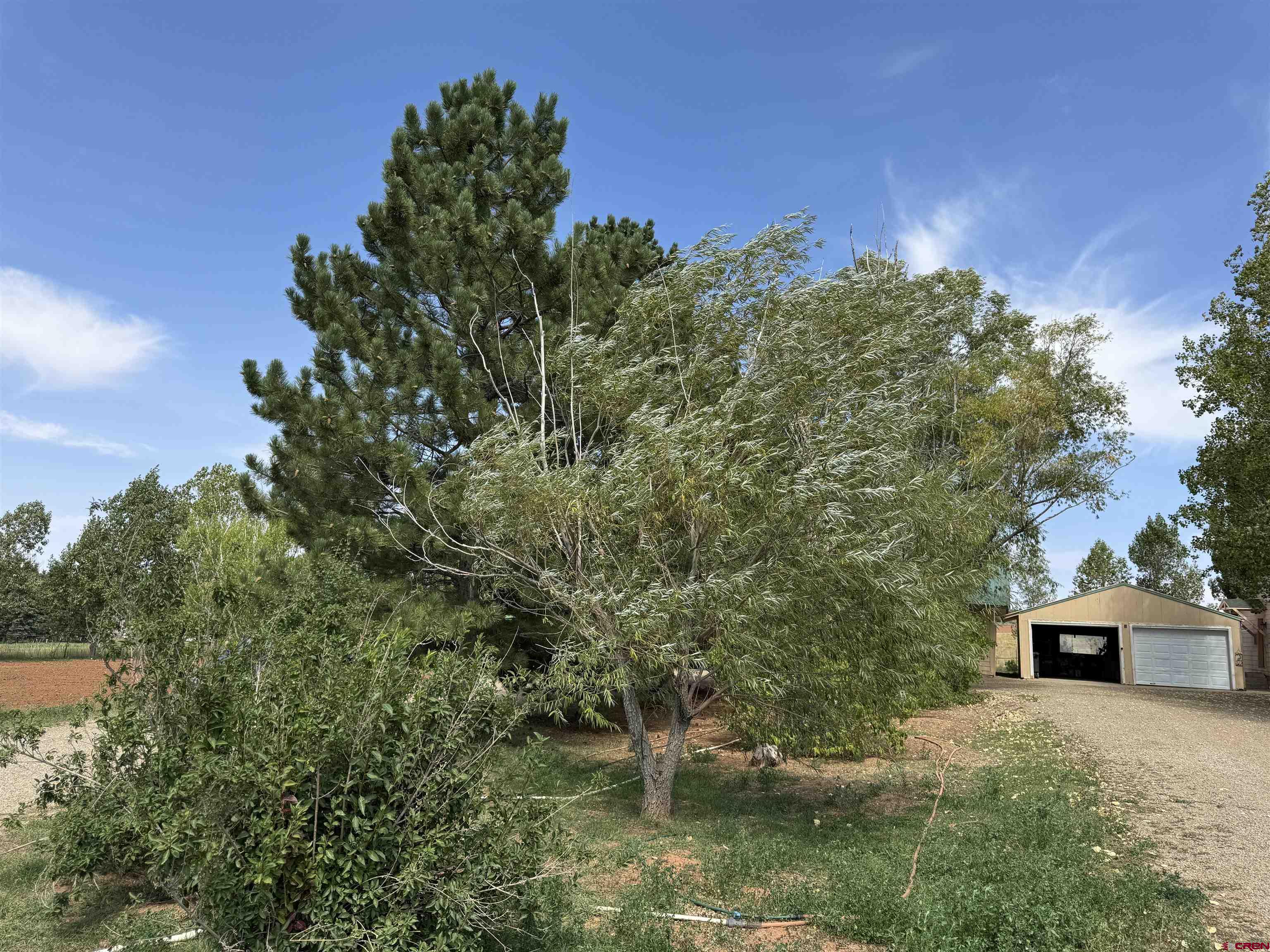 12383 Rd M Cahone, CO 81320 - Photo 37 of 42 Gallery Image 37