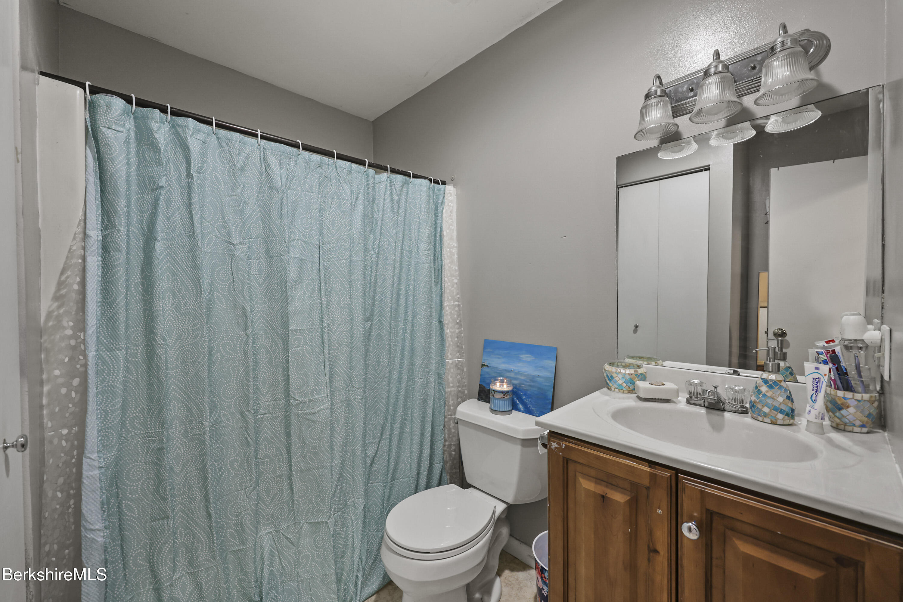 1052 Beaver Pond Meadows Road Williamstown, MA 01267 - Photo 19 of 38 a bathroom with a sink a toilet and shower curtain