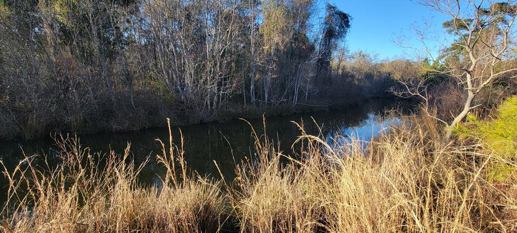 50.45-acres Trawick Road Dothan, AL 36301 - Photo 19 of 62