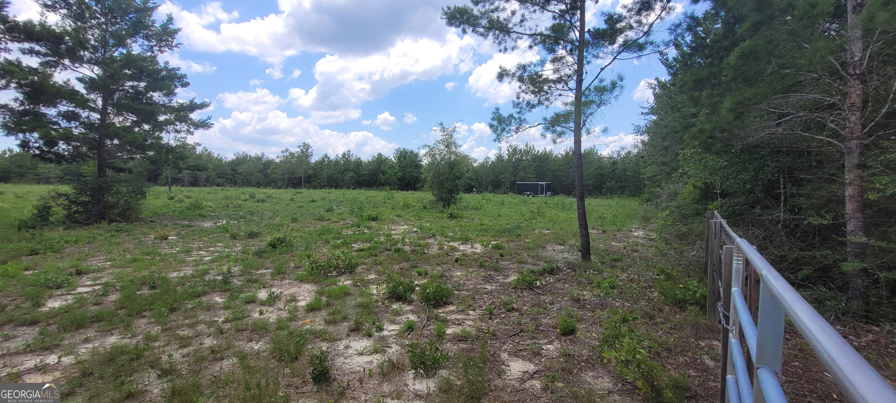 10.29-acres Holmes Valley Road Vernon, FL 32462 - Photo 5 of 13 a view of a lush green outdoor space