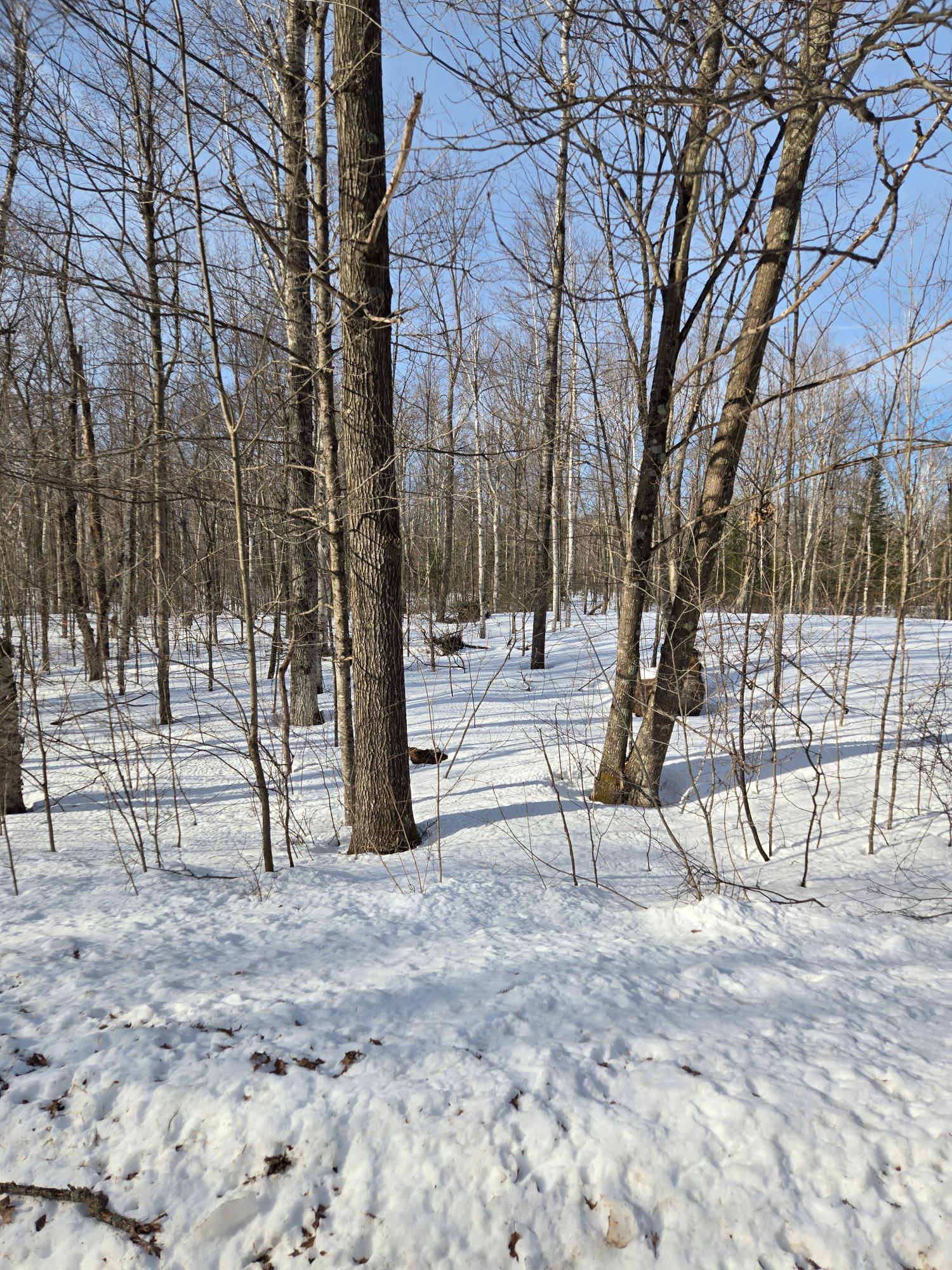 Lot #11 Kentwoods Road Bryant, WI 54418 - Photo 4 of 5 Gallery Image 4