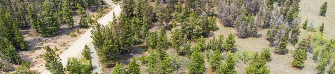 31663 Redhill Road Fairplay, CO 80440 - Photo 4 of 8