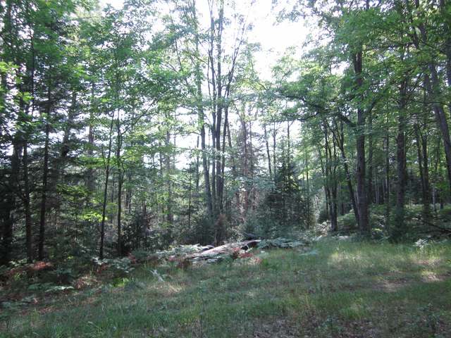 On On Shore Road Long Lake, WI 54542 - Photo 4 of 5 Gallery Image 4