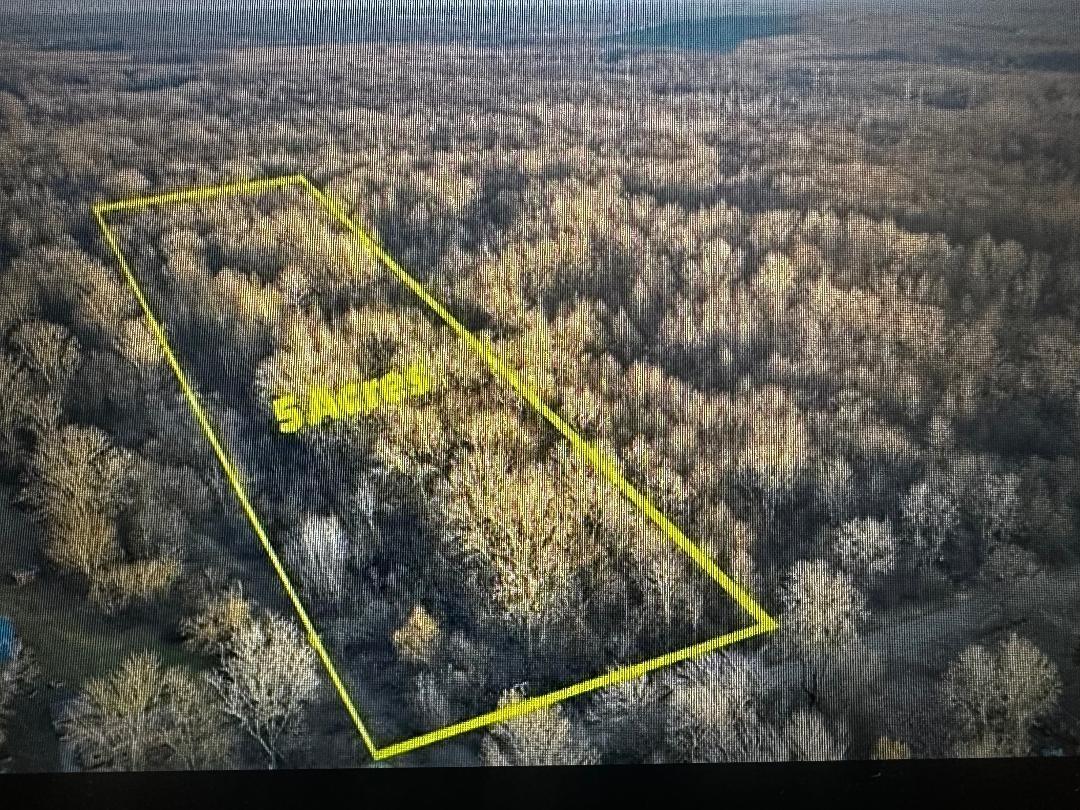 26055 Martinsville Road New Boston, MI 48164 - Photo 1 of 4 thumbnail