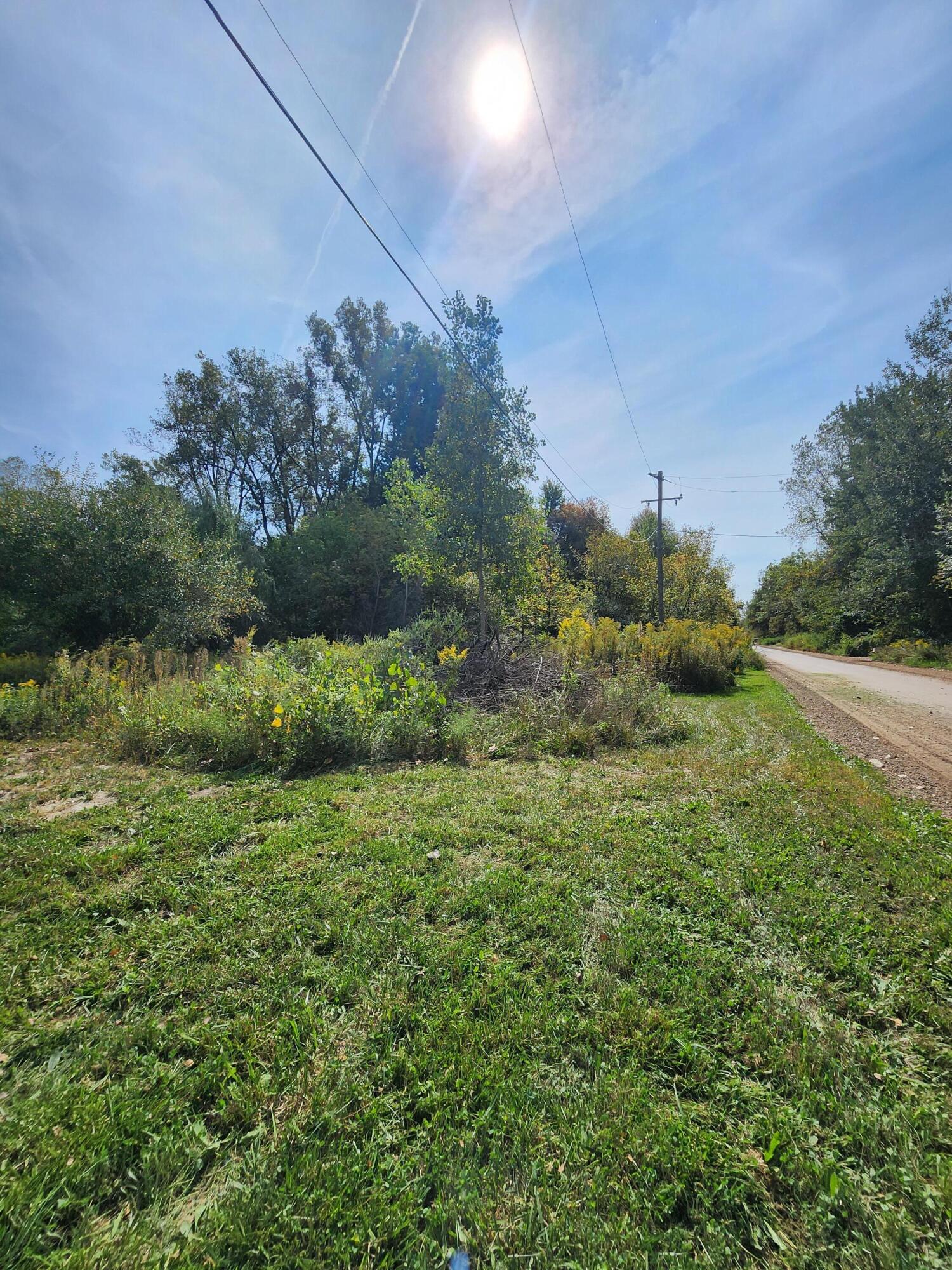 26055 Martinsville Road New Boston, MI 48164 - Photo 4 of 4 1000007948
