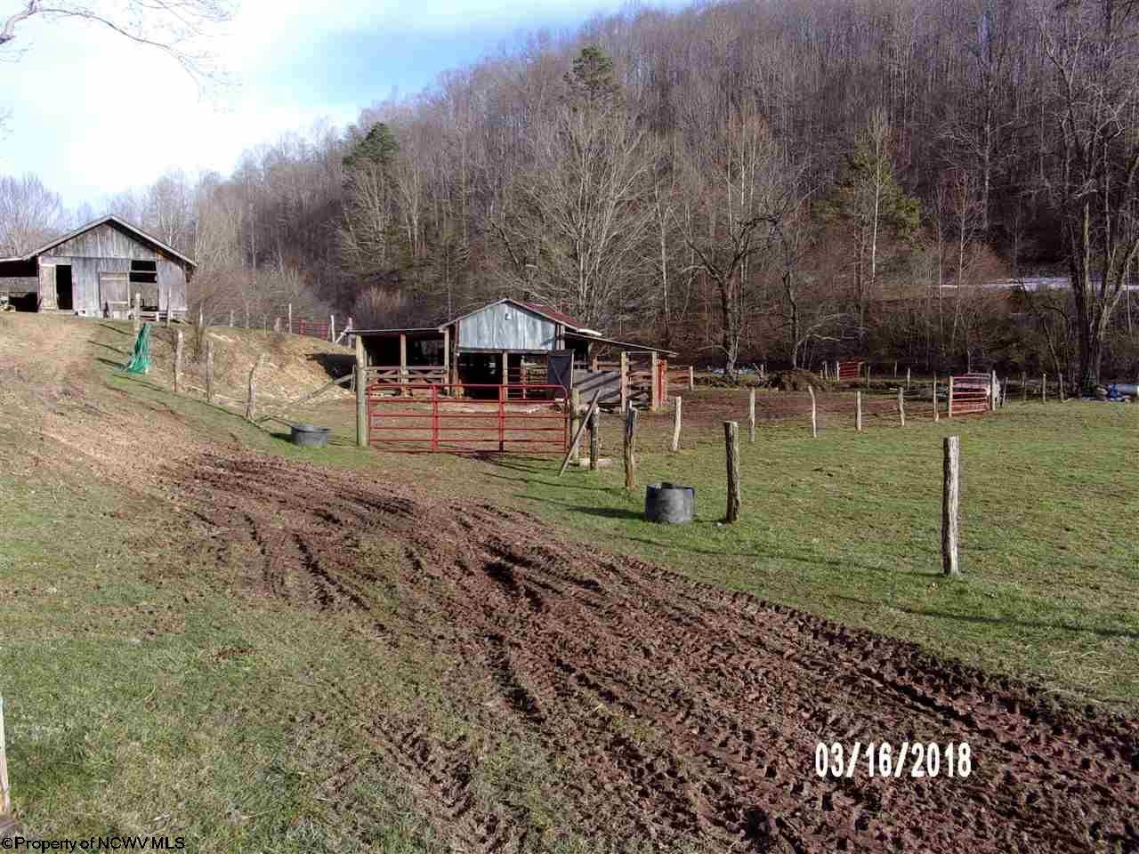 6062 Wilson Ridge Road Duck, WV 25063 - Photo 3 of 14 Gallery Image 3